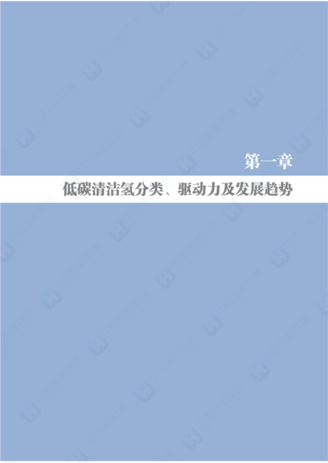 中国氢能源及燃料电池产业白皮书2020节选