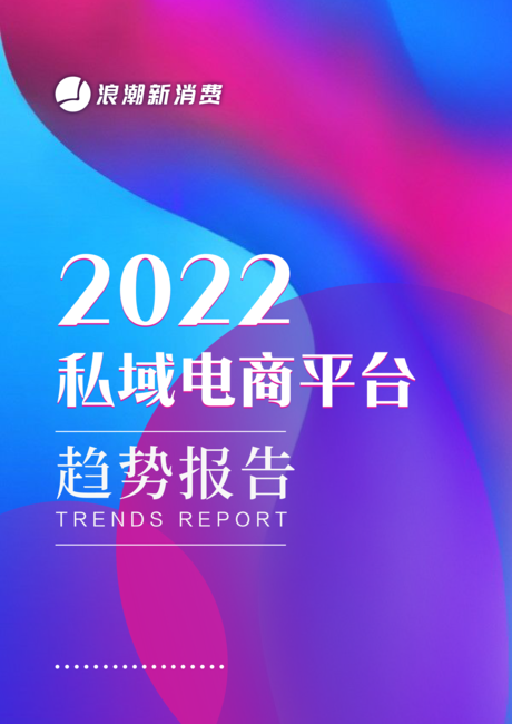 浪潮新消费:2022私域电商平台趋势报告