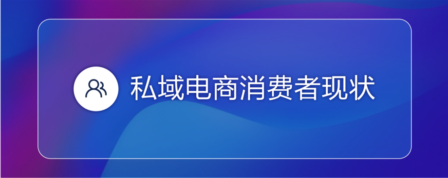 浪潮新消费:2022私域电商平台趋势报告