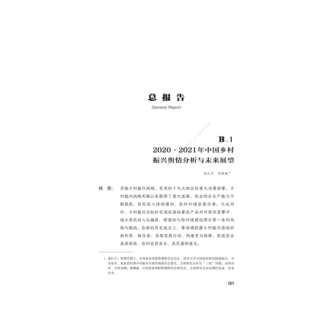 中国乡村振兴发展报告(2021)
