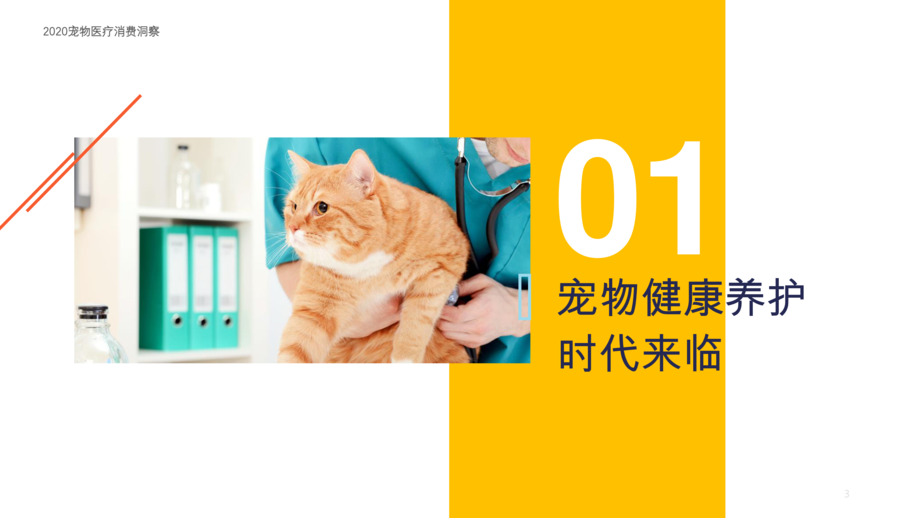 2020宠物医疗消费洞察报告