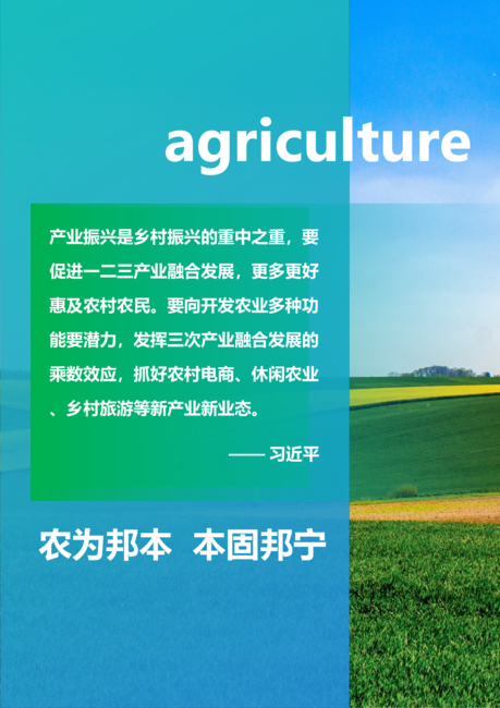 新华网:中国乡村振兴产业融合报告(2022)