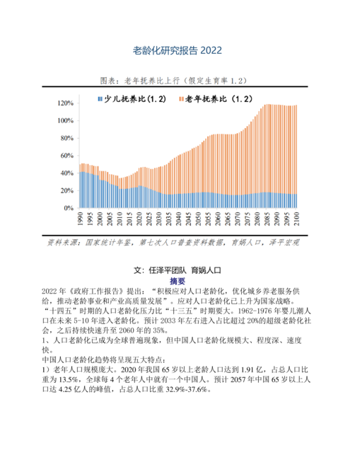 泽平宏观:老龄化研究报告2022