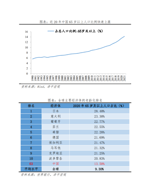 泽平宏观:老龄化研究报告2022