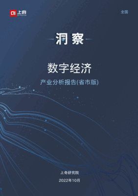 2022数字经济产业分析报告