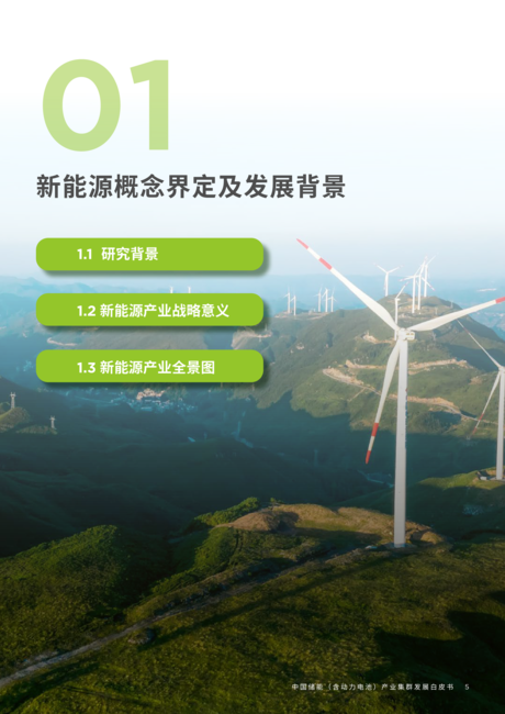 戴德梁行:2024中国储能(含动力电池)产业集群发展白皮书