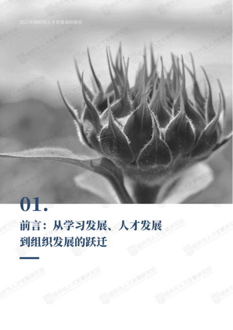 组织与人才发展研究院：2021年组织与人才发展调研报告：聚焦业务组织与人才发展新趋势