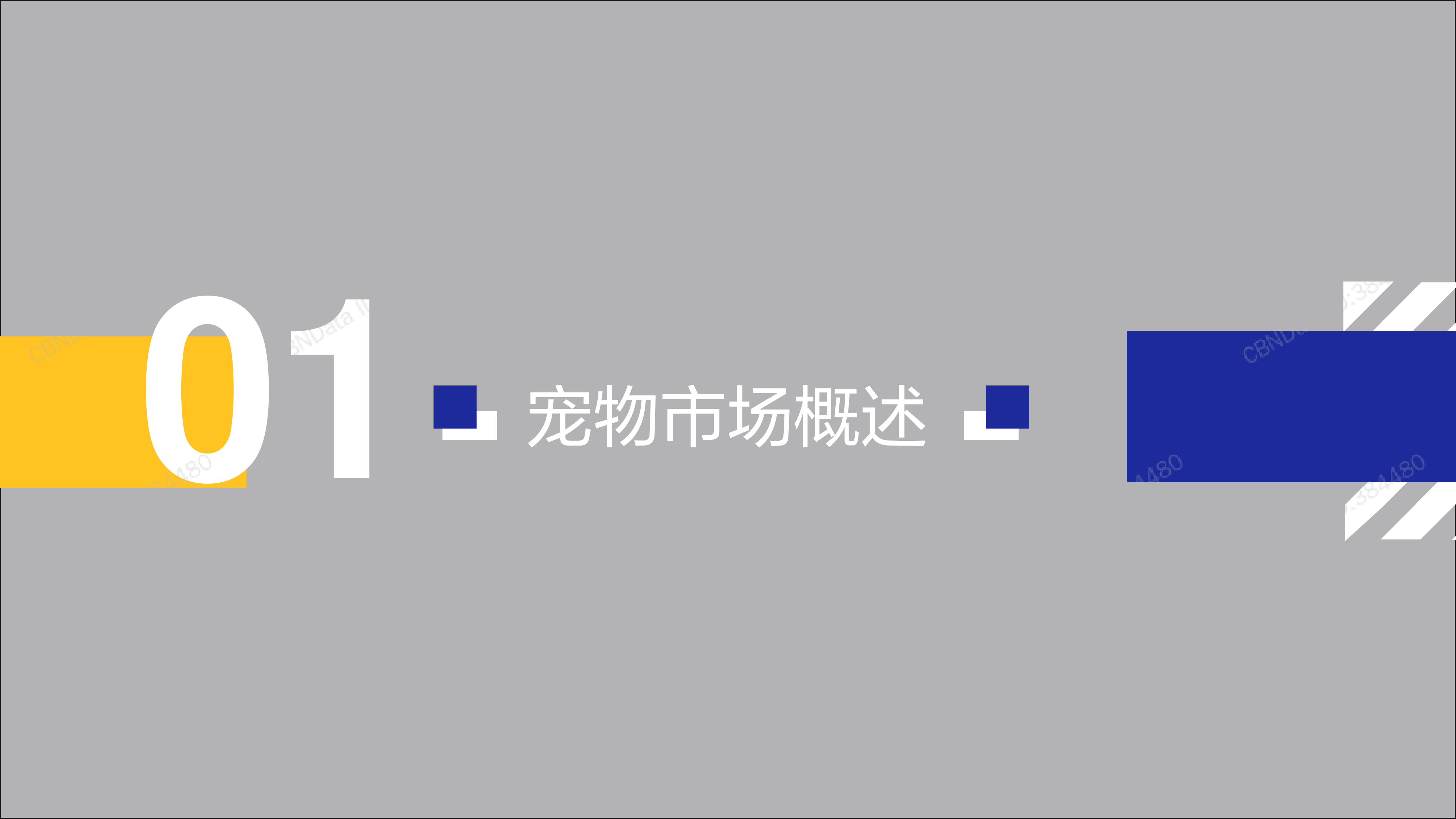 2021中国宠物精致消费图鉴