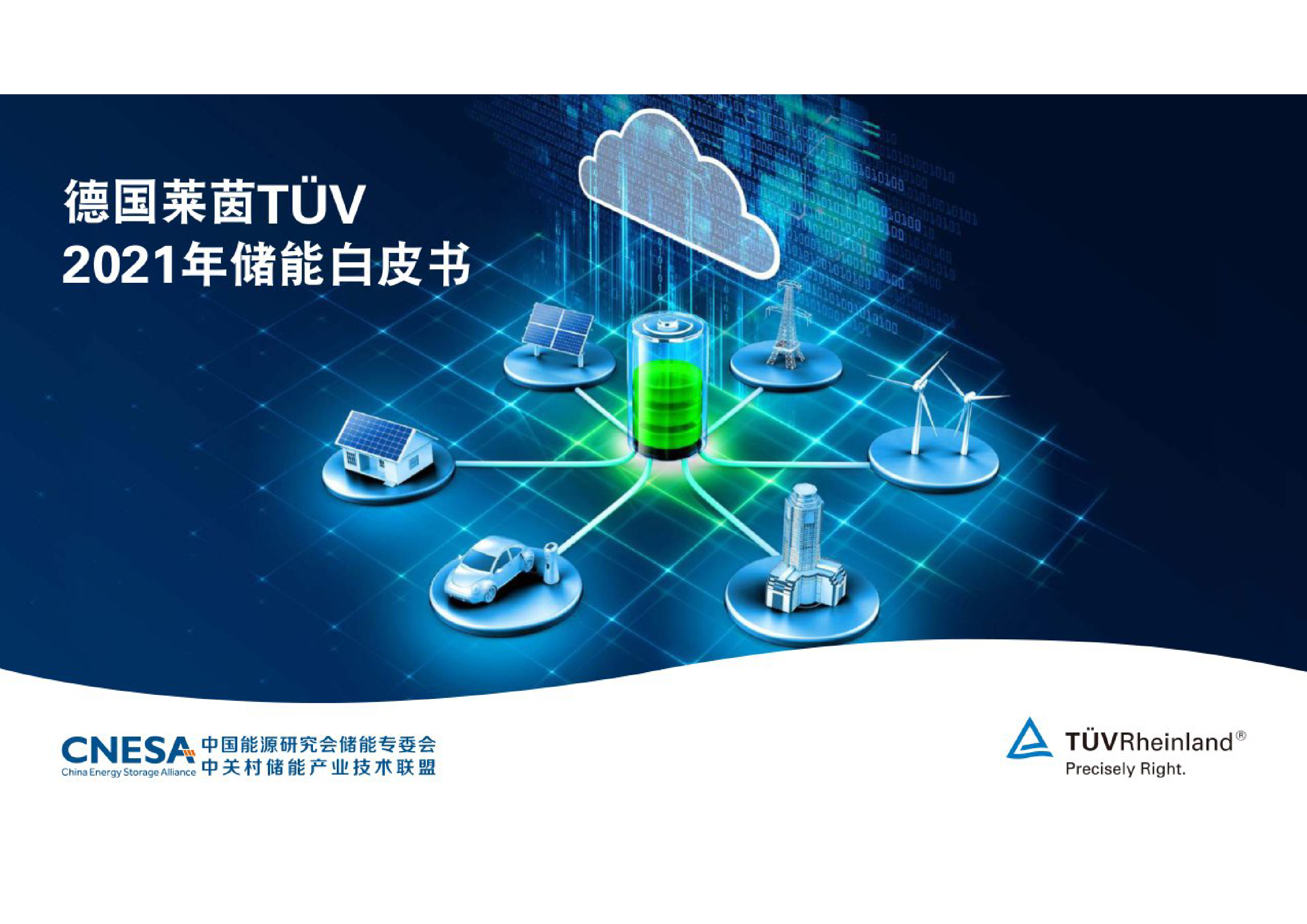 中国能源研究会储能专委会：德国莱茵2021年储能白皮书