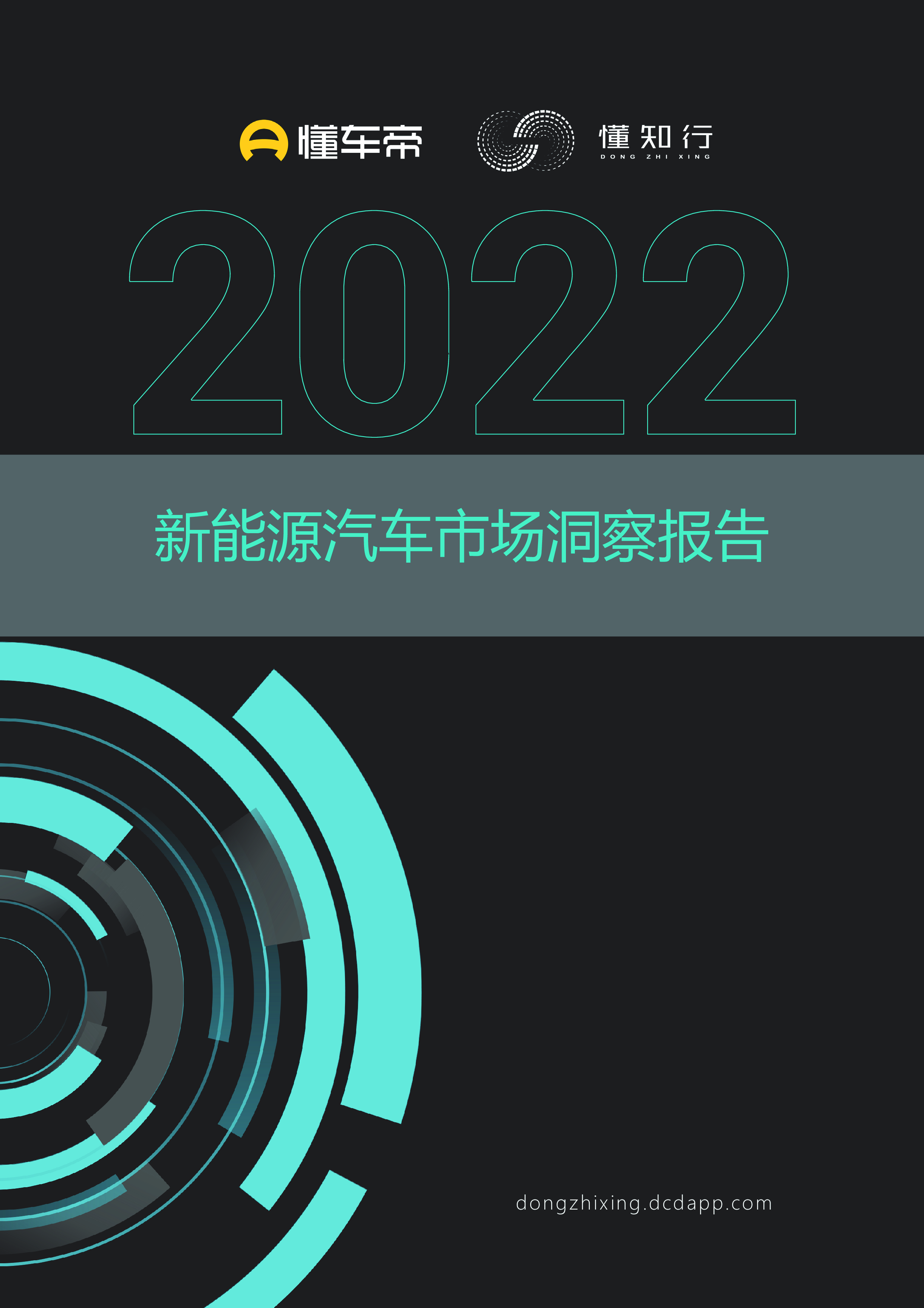 懂车帝:2022新能源汽车市场洞察报告