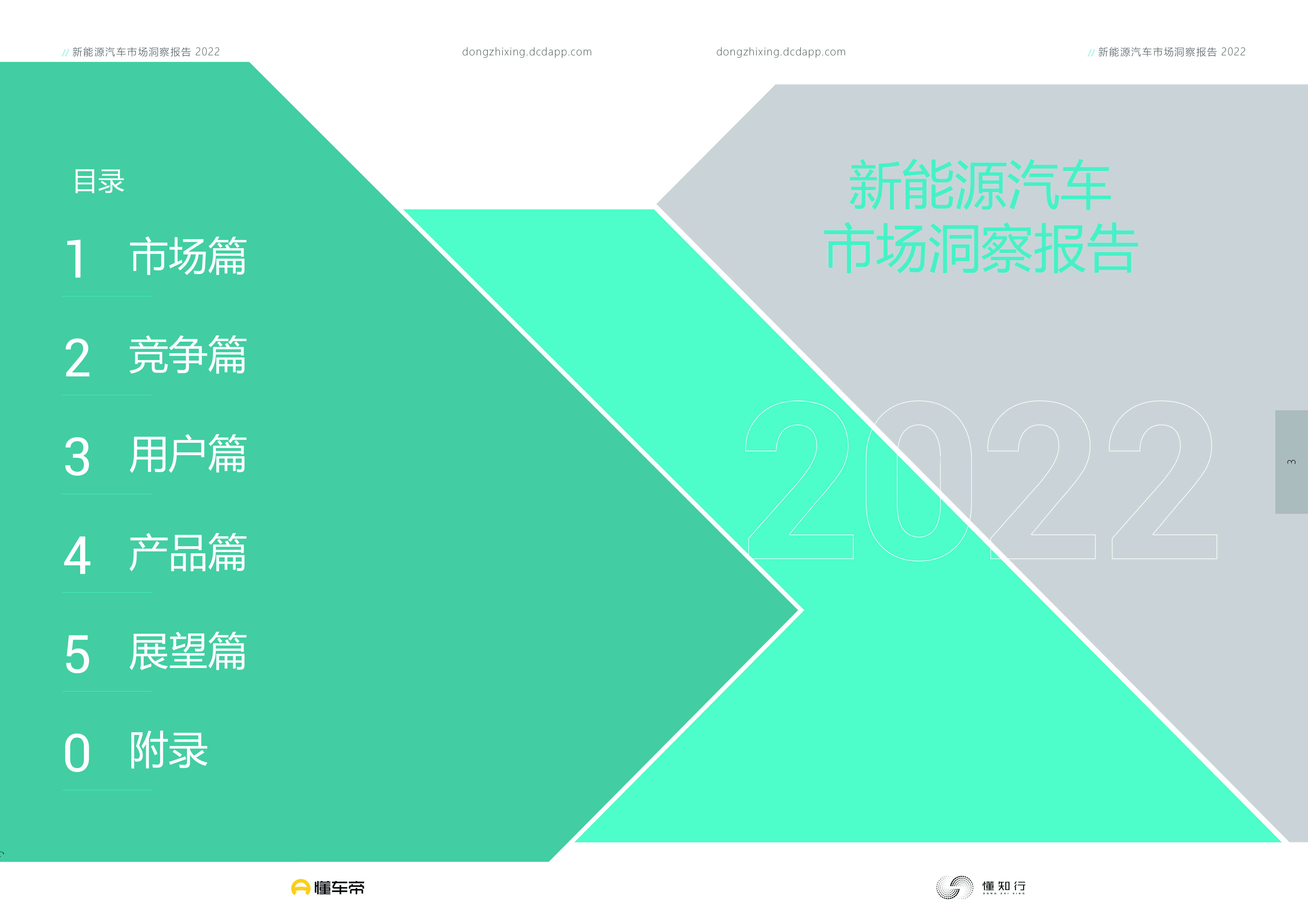 懂车帝:2022新能源汽车市场洞察报告