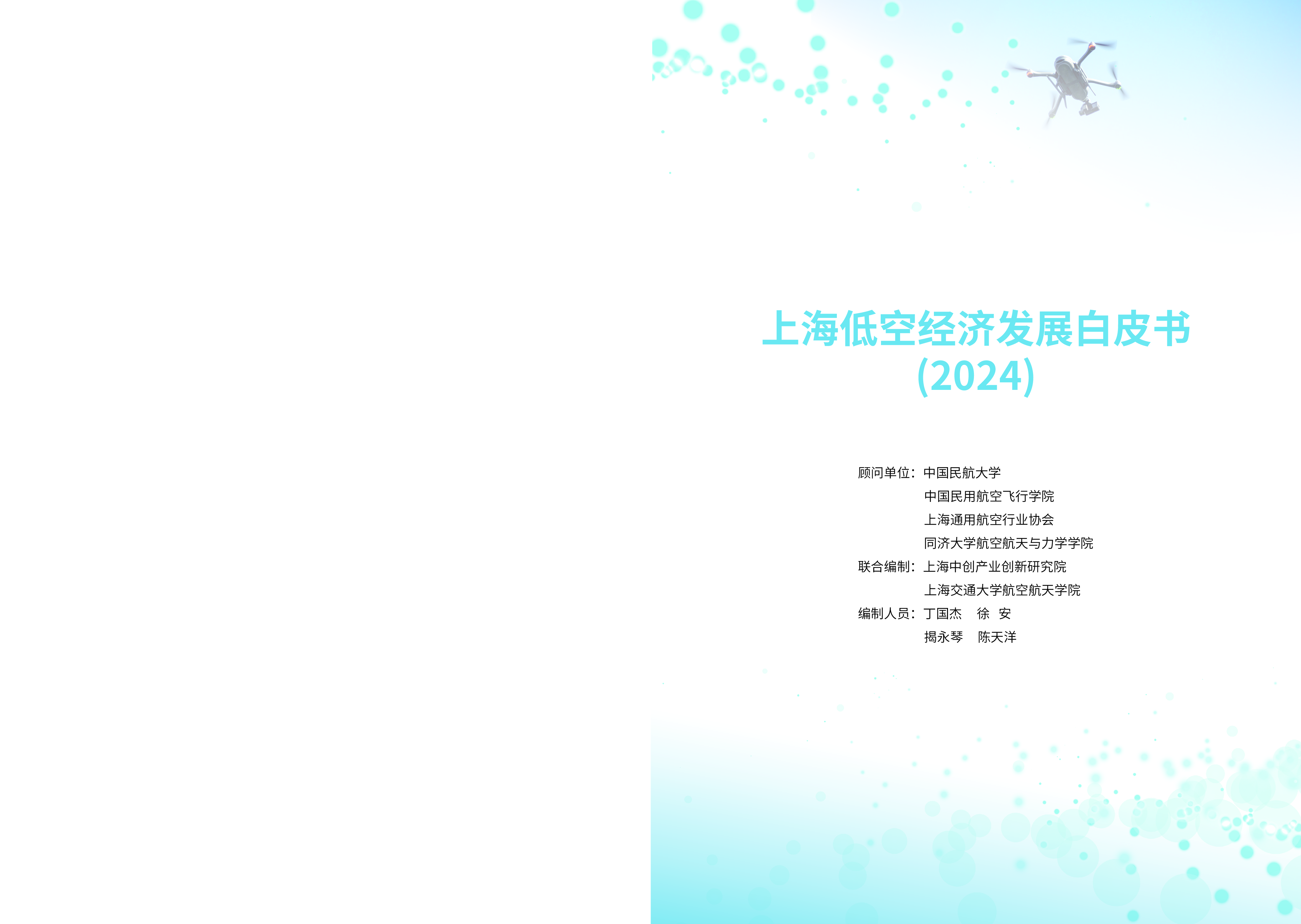 上海中创产业创新研究院2024上海低空经济发展白皮书37页
