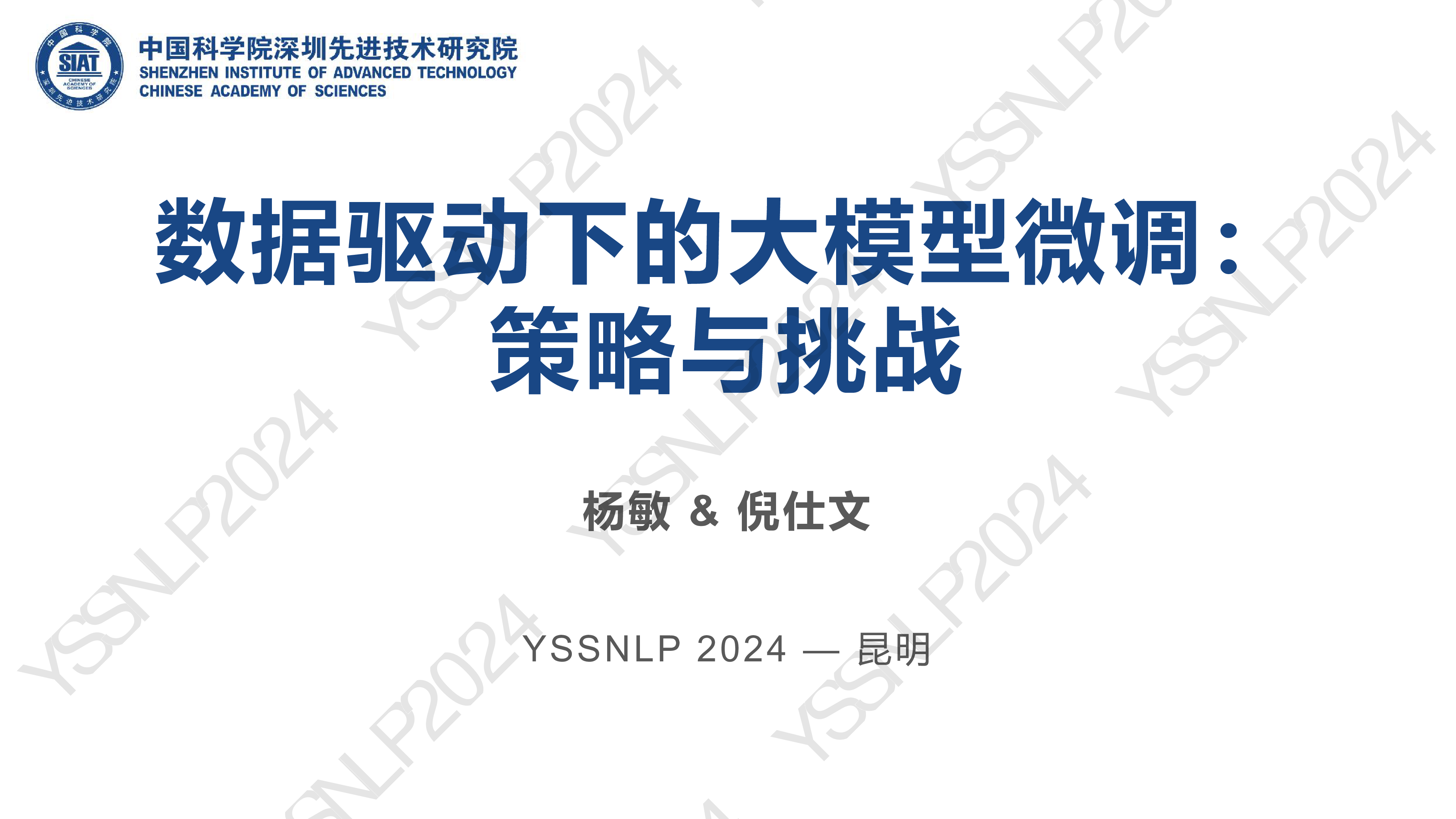 杨敏-数据驱动下的大模型微调策略与挑战
