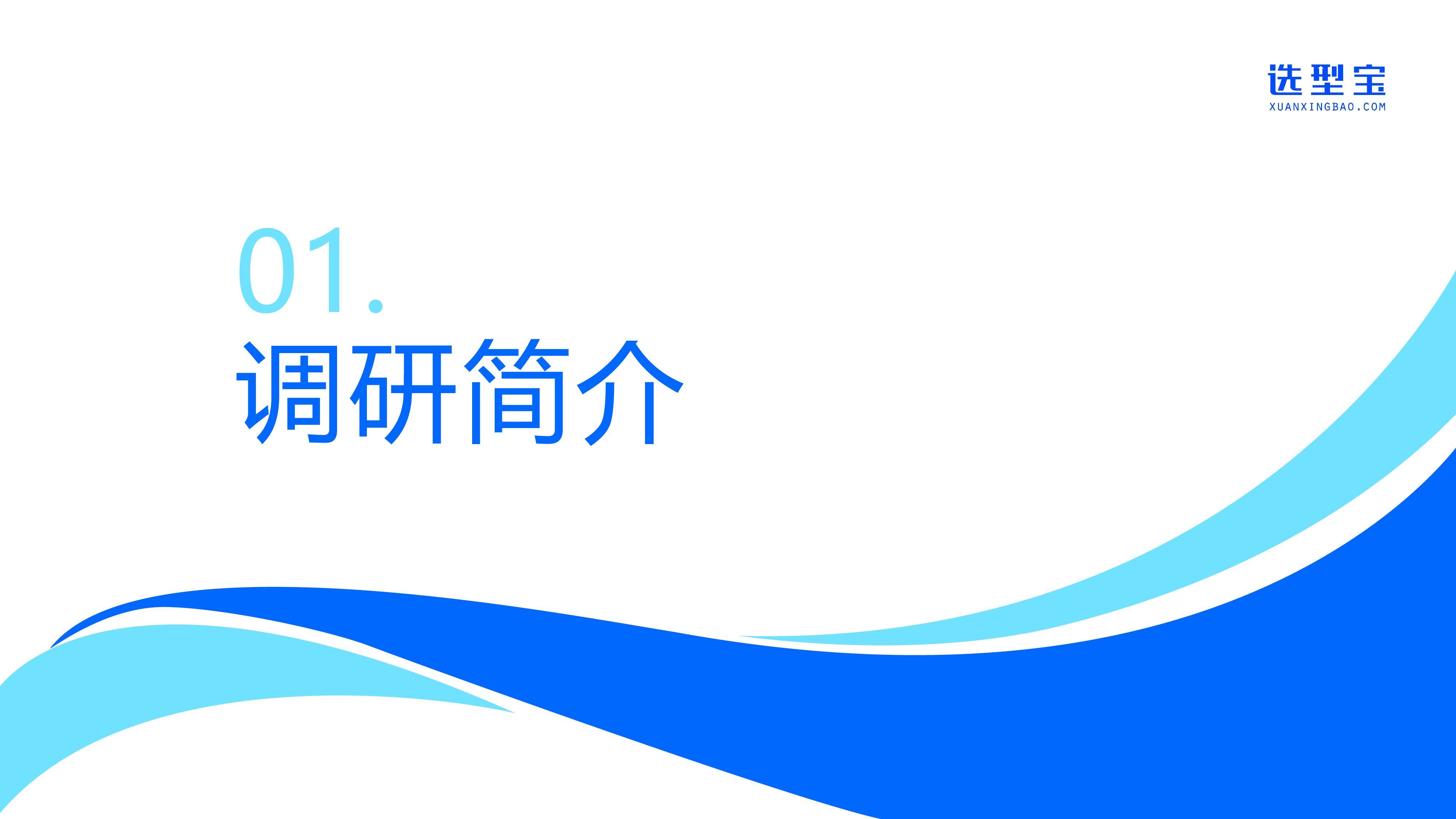 选型宝2024中国企业AI大模型落地应用现状调研报告32页