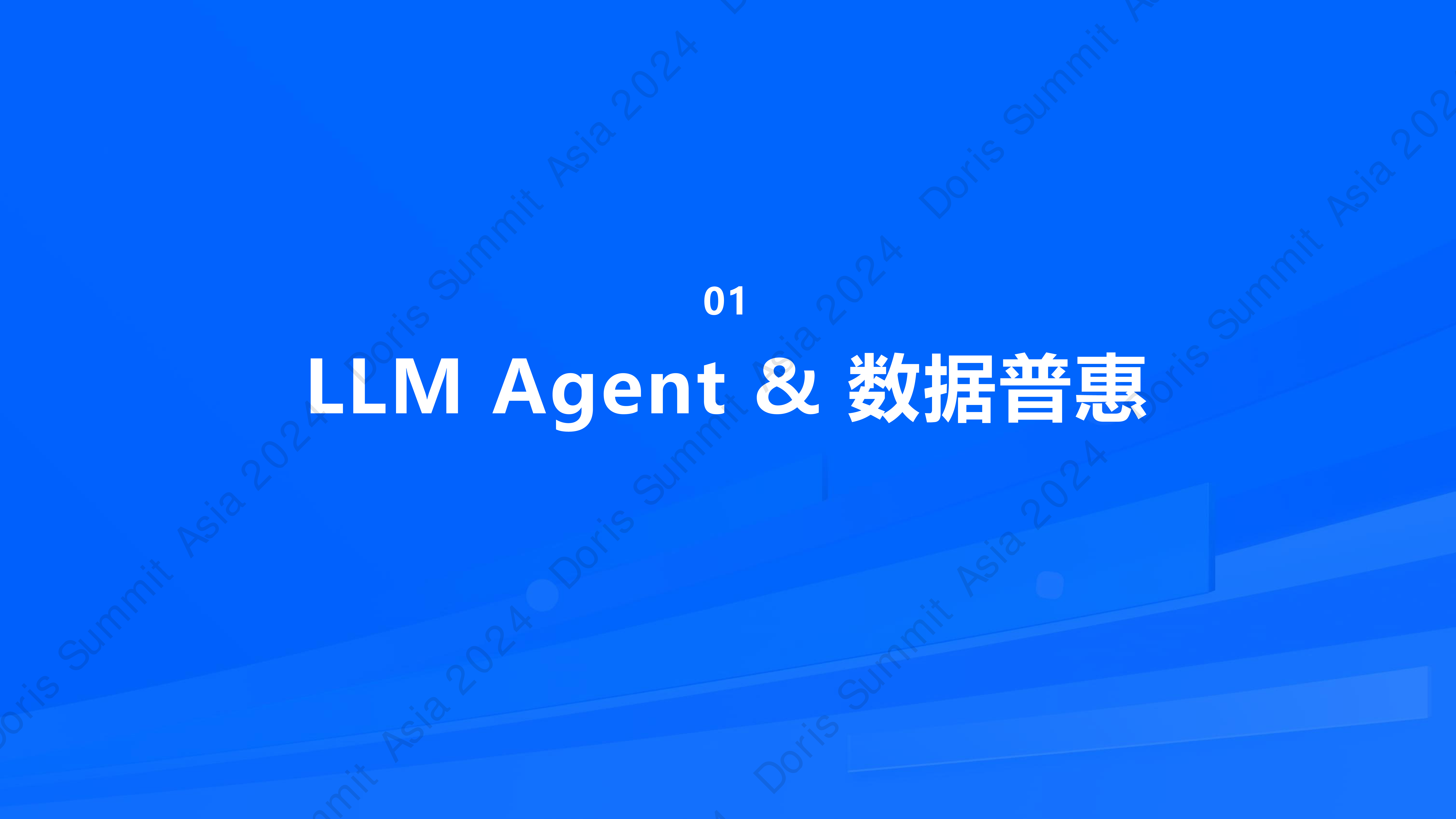 大模型时代的数据分析创新方案与实践-刘豹数势科技