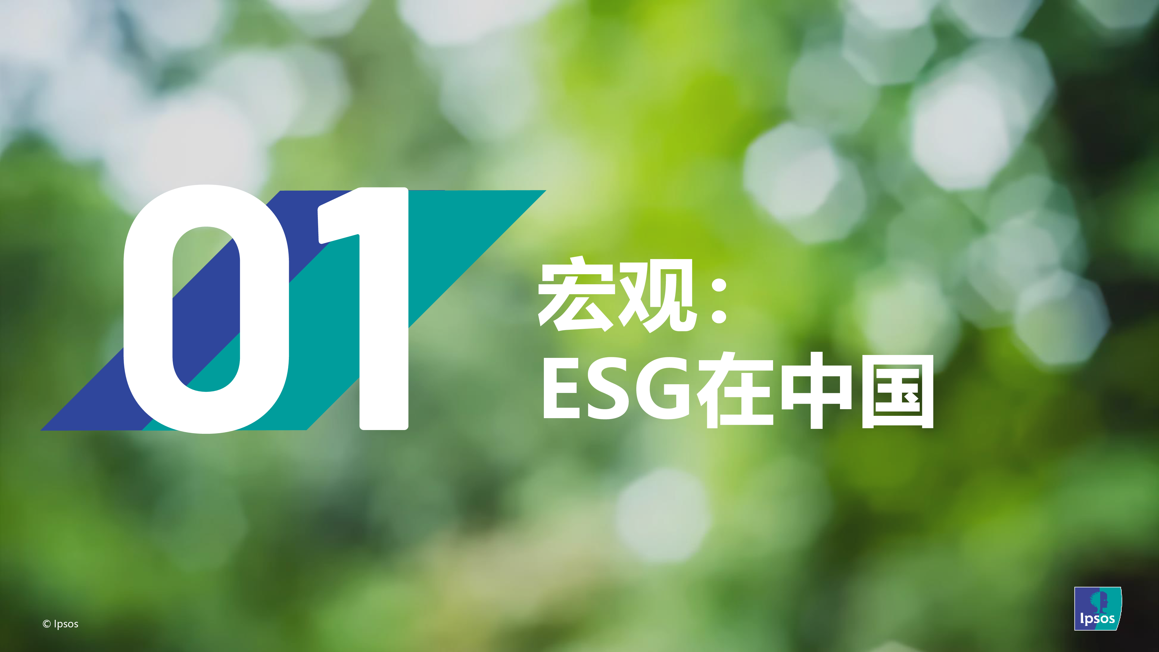 益普索如何让消费者为ESG买单202436页