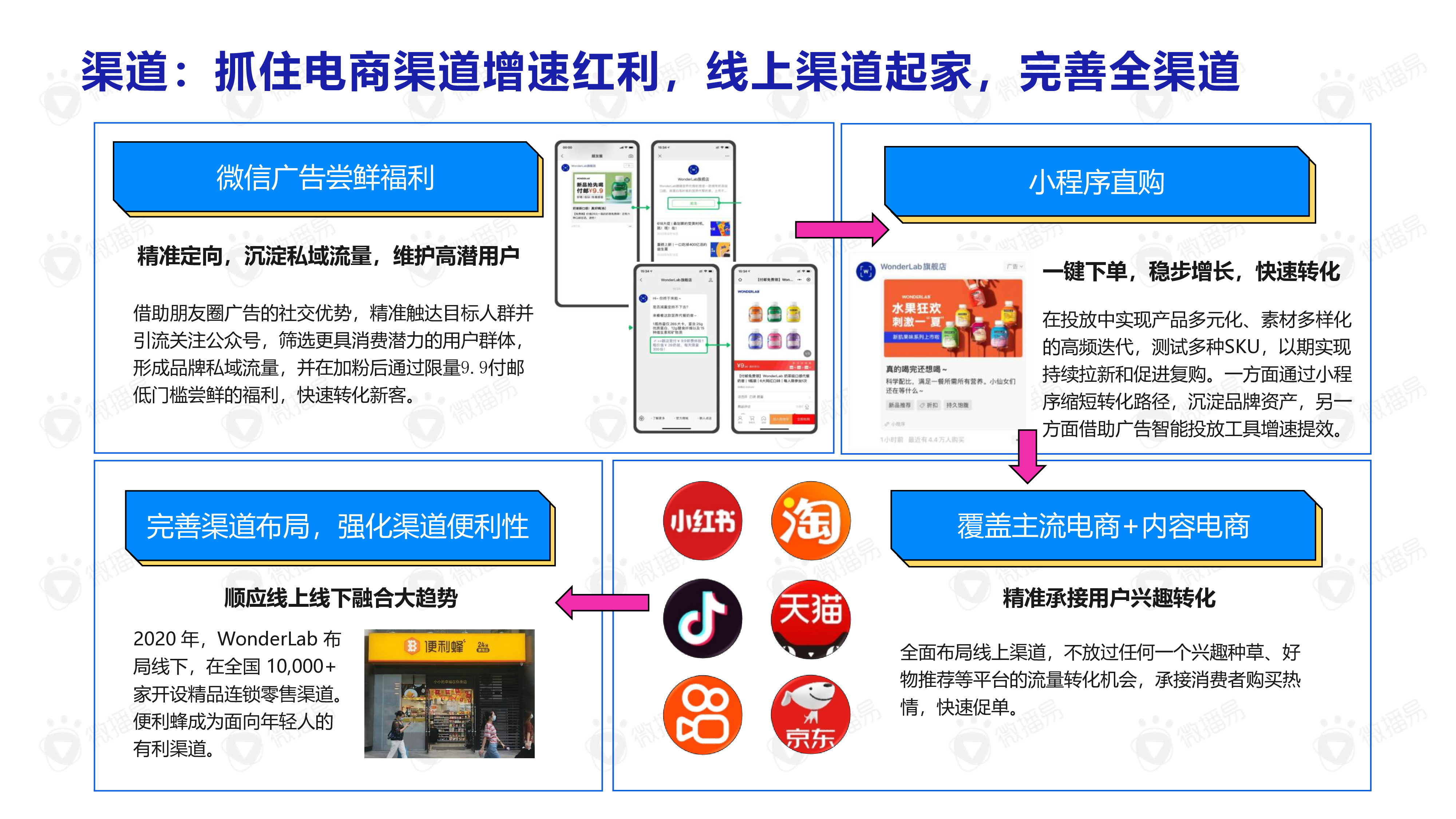 微播易功能性食饮新消费品牌典型案例WONDERLAB202231页