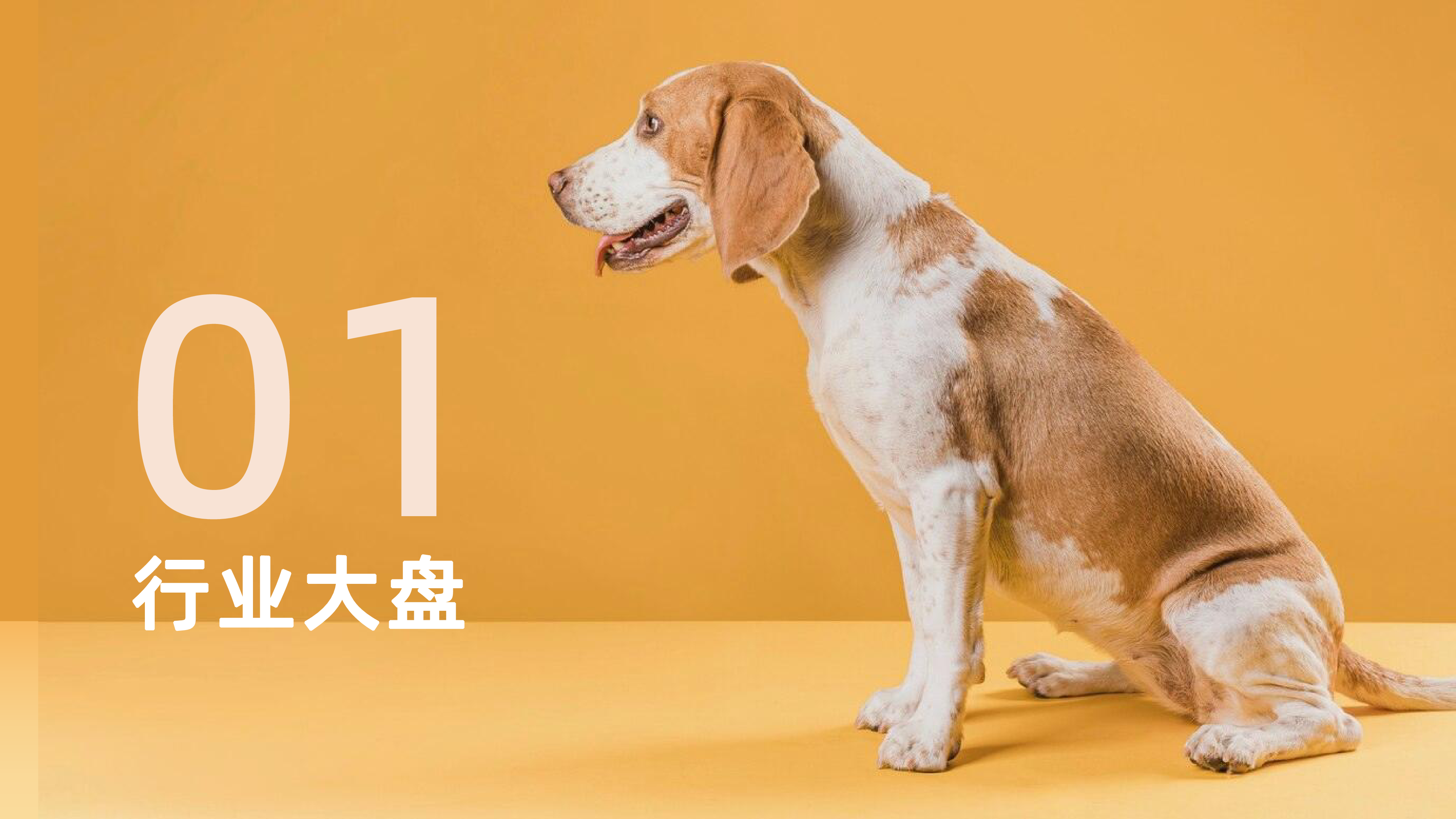 果集行研2023年宠物保健品消费趋势报告27页