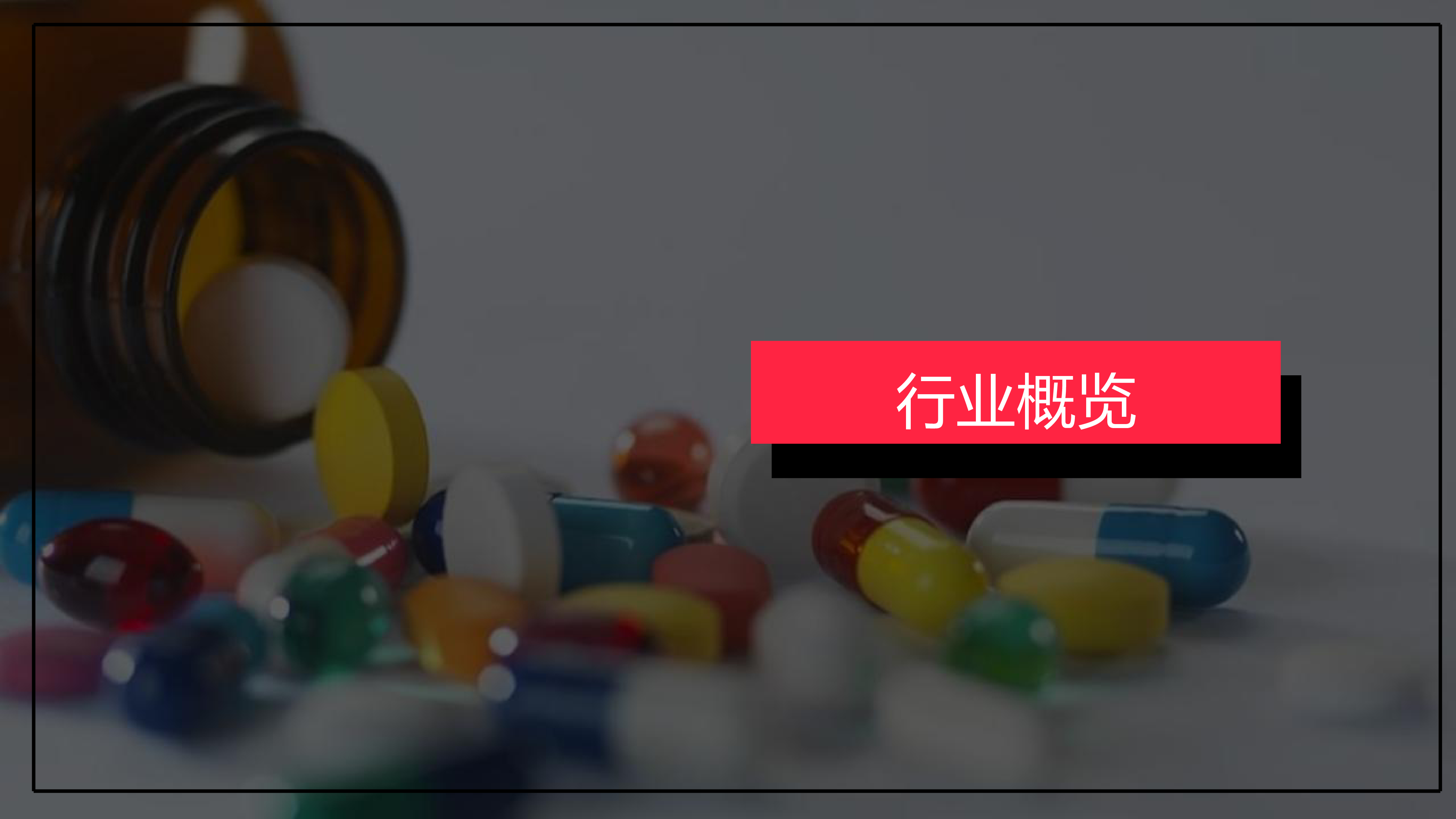 小红书2023年7月大健康行业月报19页