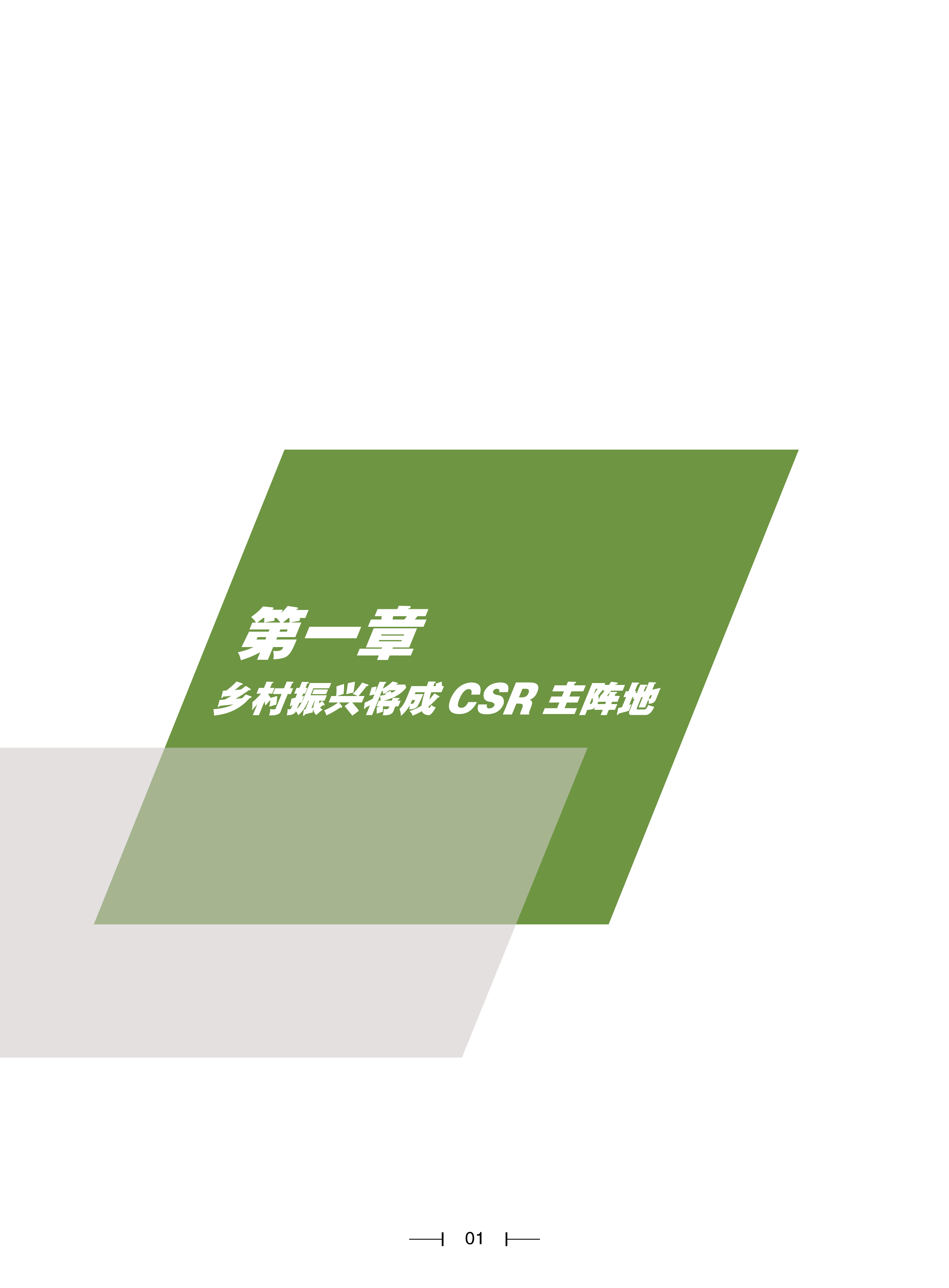 SFC21世纪经济报道中国乡村振兴之路白皮书202177页