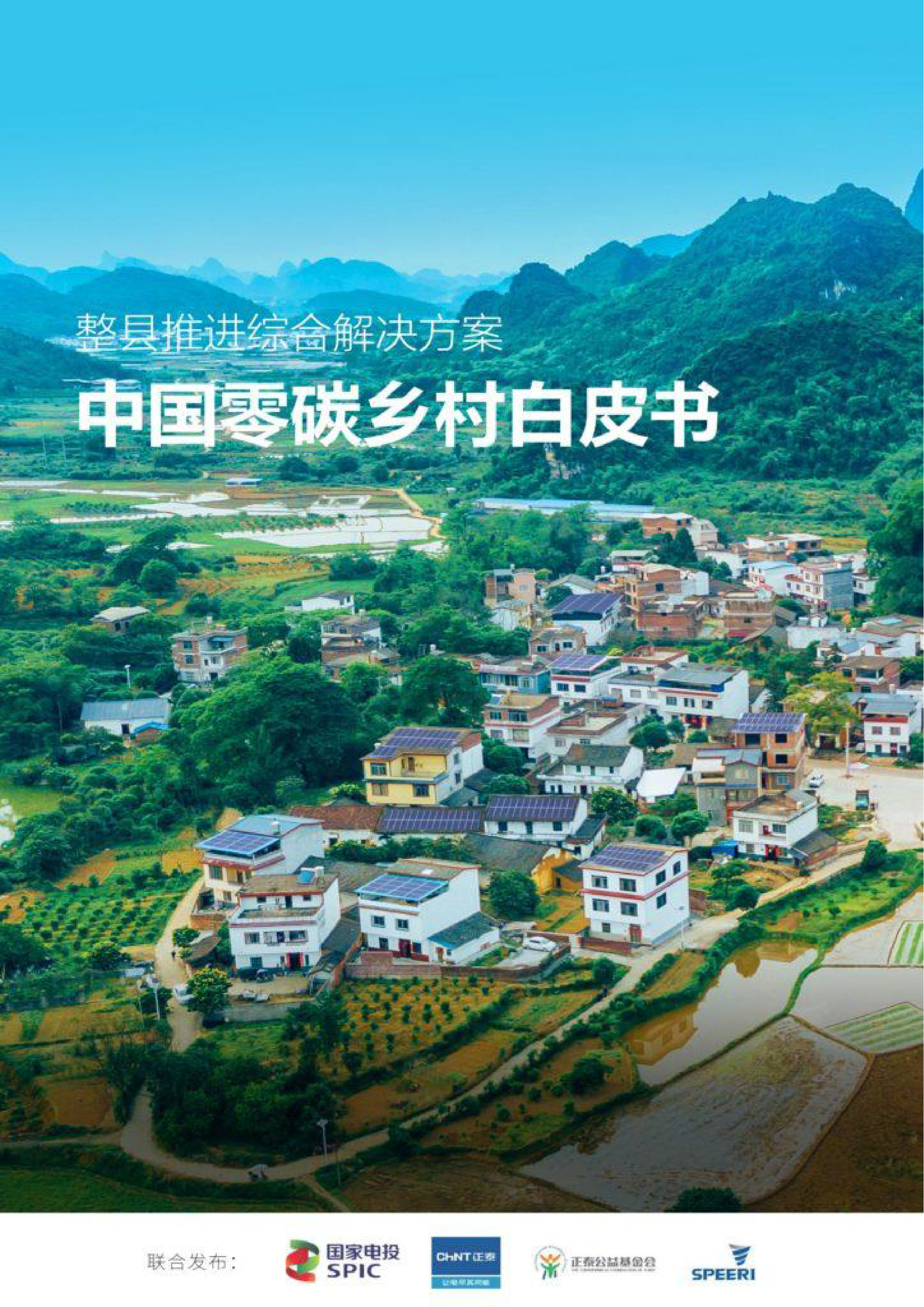 国家电投中国零碳乡村白皮书整县推进综合解决方案40页
