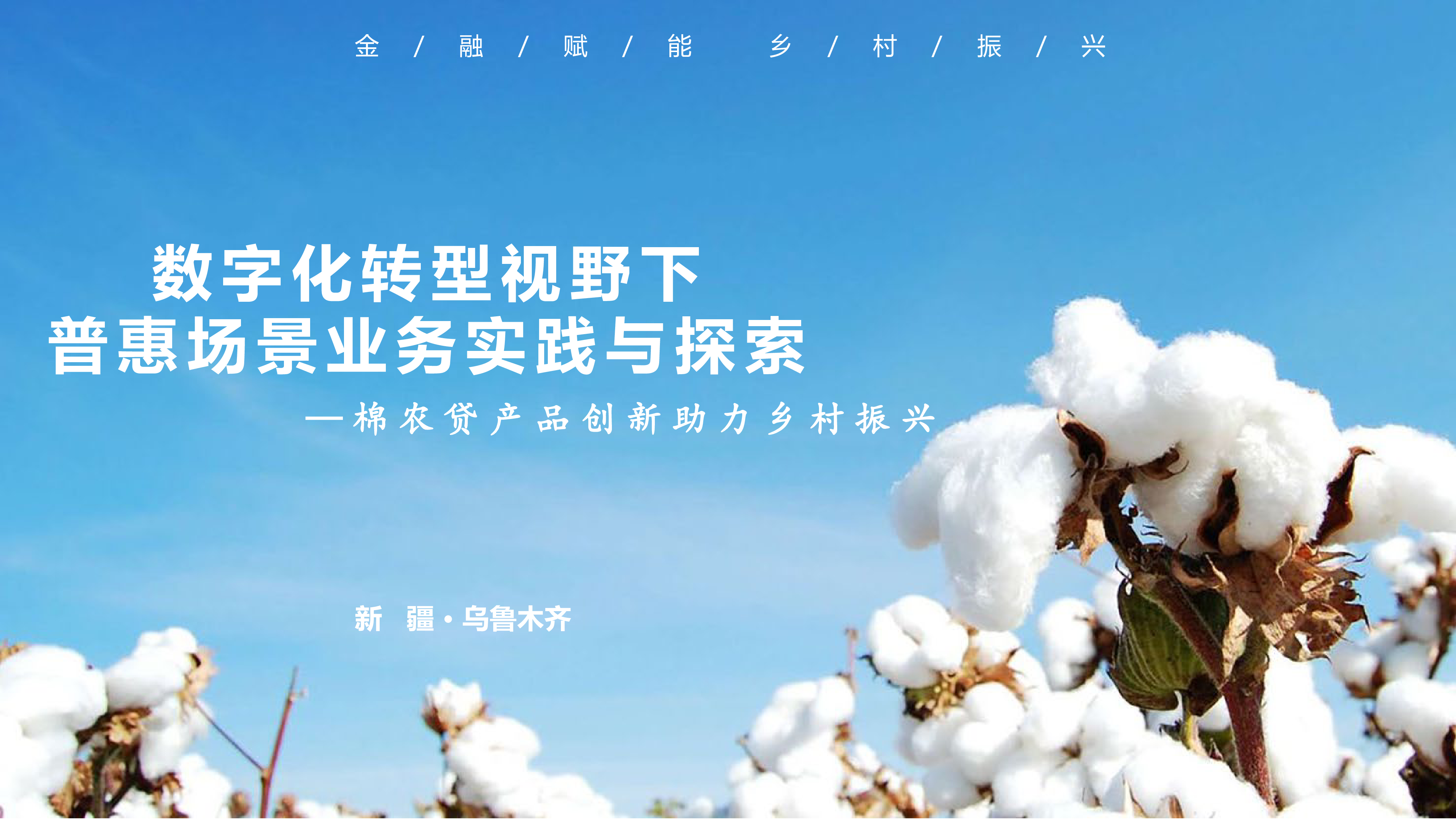 新疆银行2024数字化转型视野下普惠场景业务实践与探索-棉农贷产品创新助力乡村振兴20页