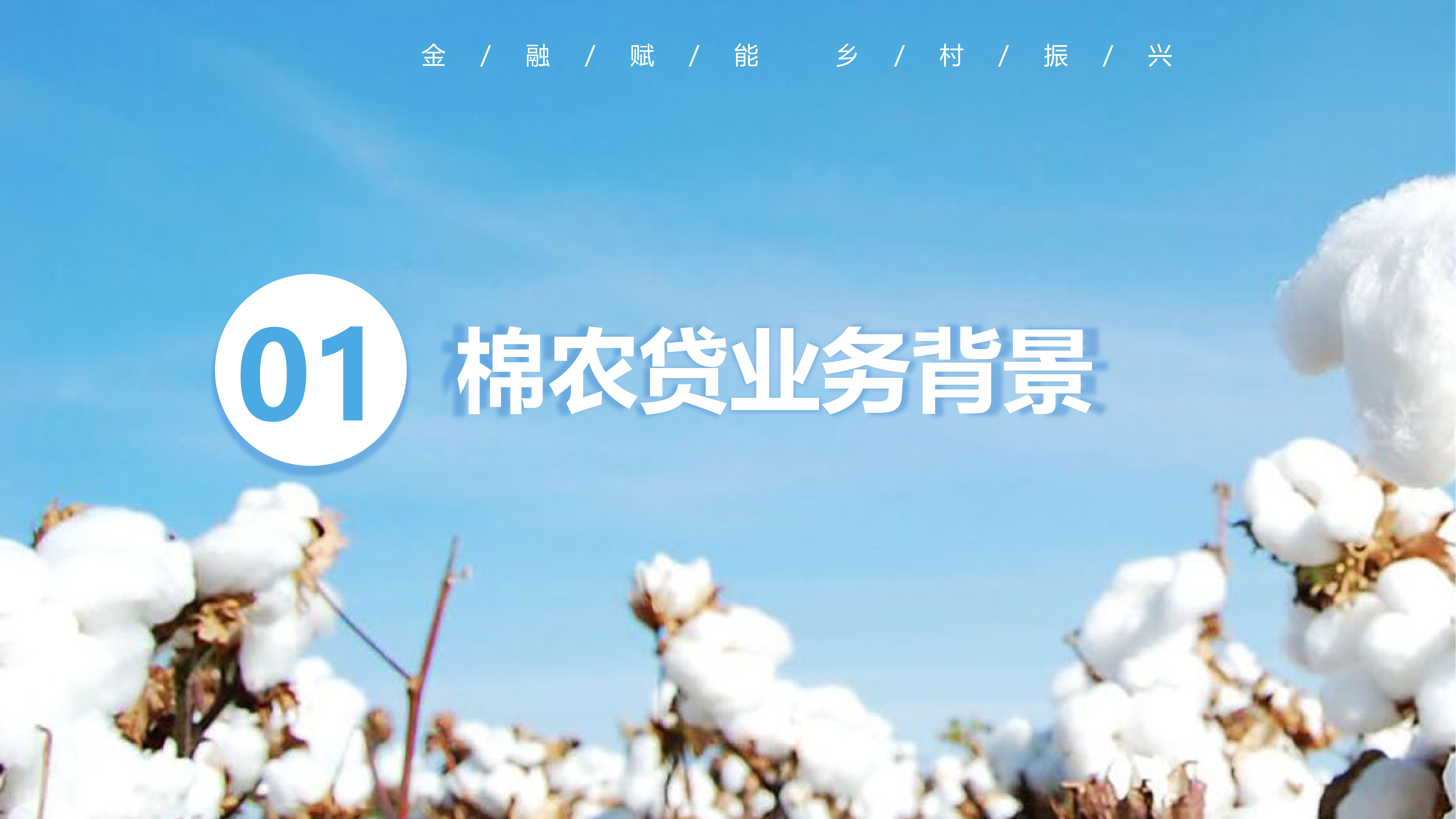 新疆银行2024数字化转型视野下普惠场景业务实践与探索-棉农贷产品创新助力乡村振兴20页