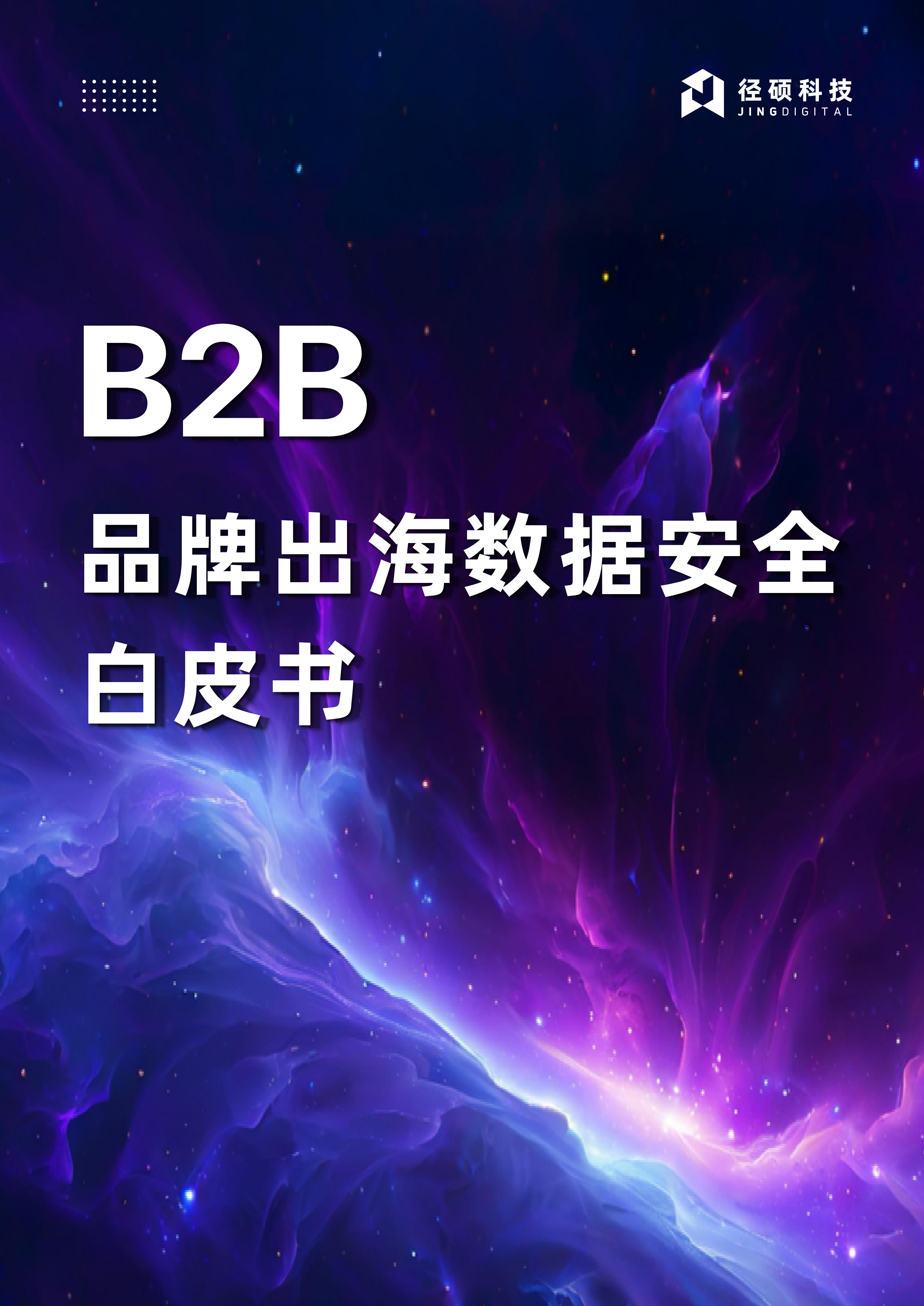 径硕科技2025B2B品牌出海数据安全白皮书31页
