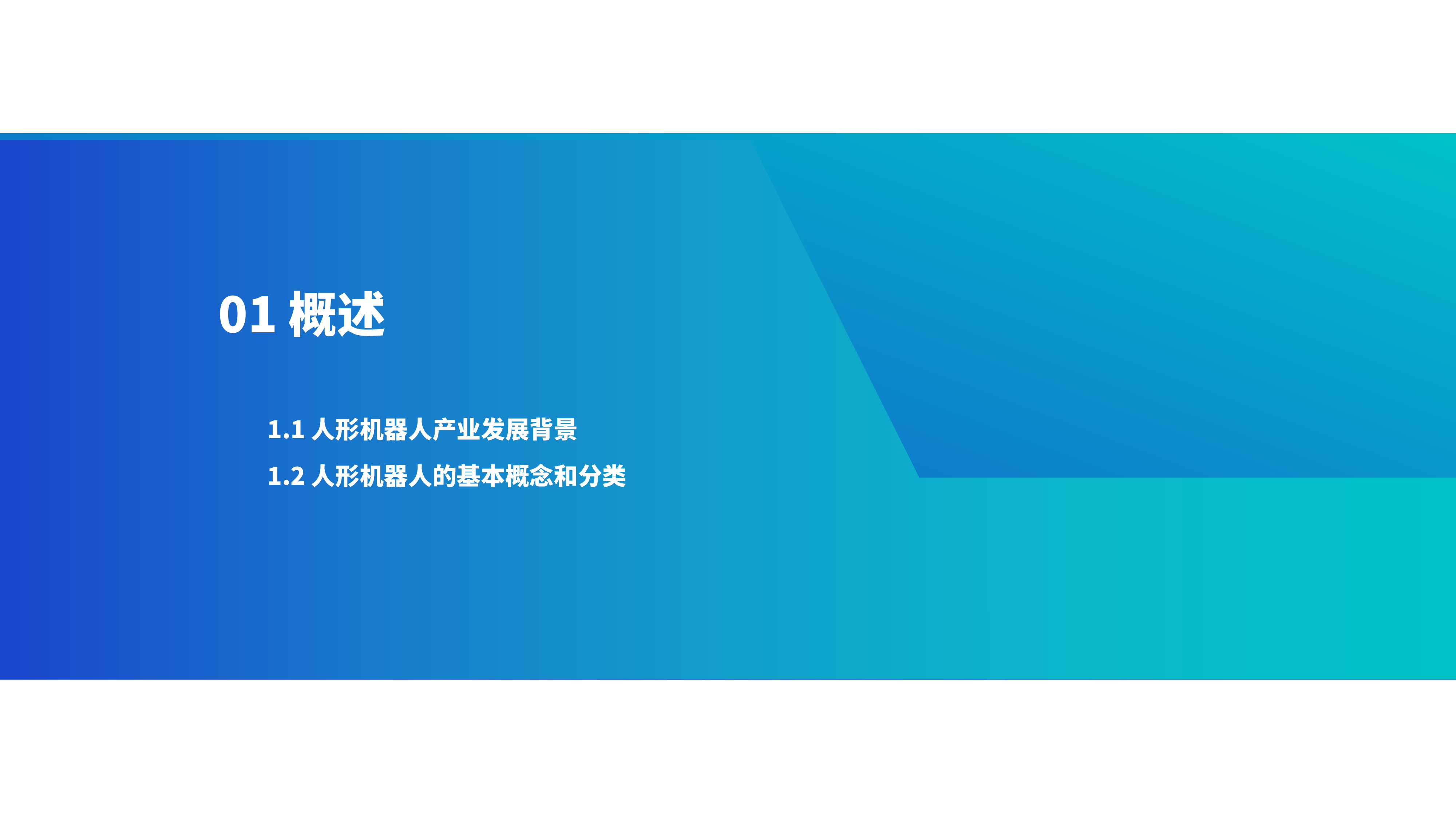 新战略咨询2024人形机器人产业半年研究报告42页