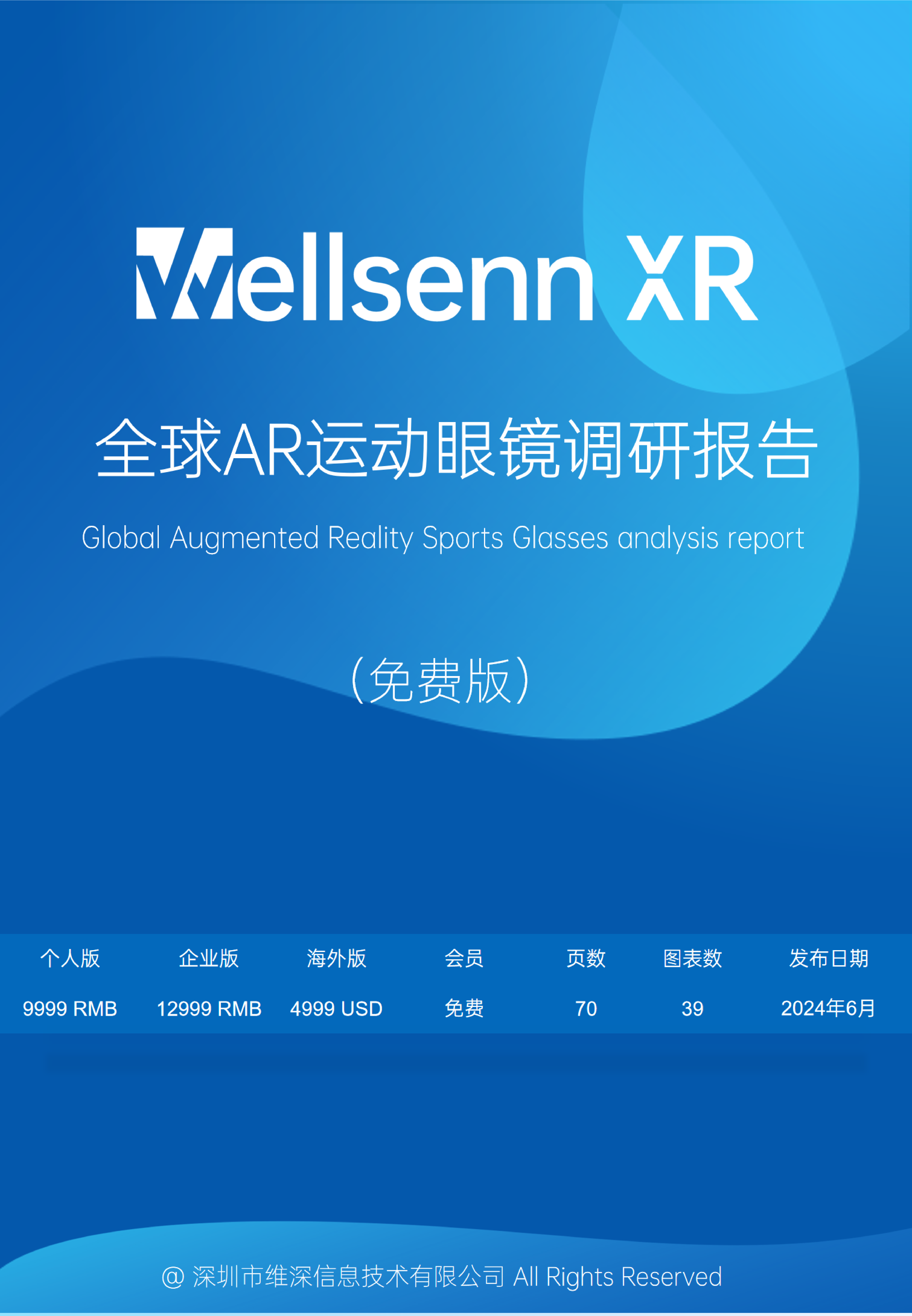 维深Wellsenn2024全球AR运动眼镜调研报告48页
