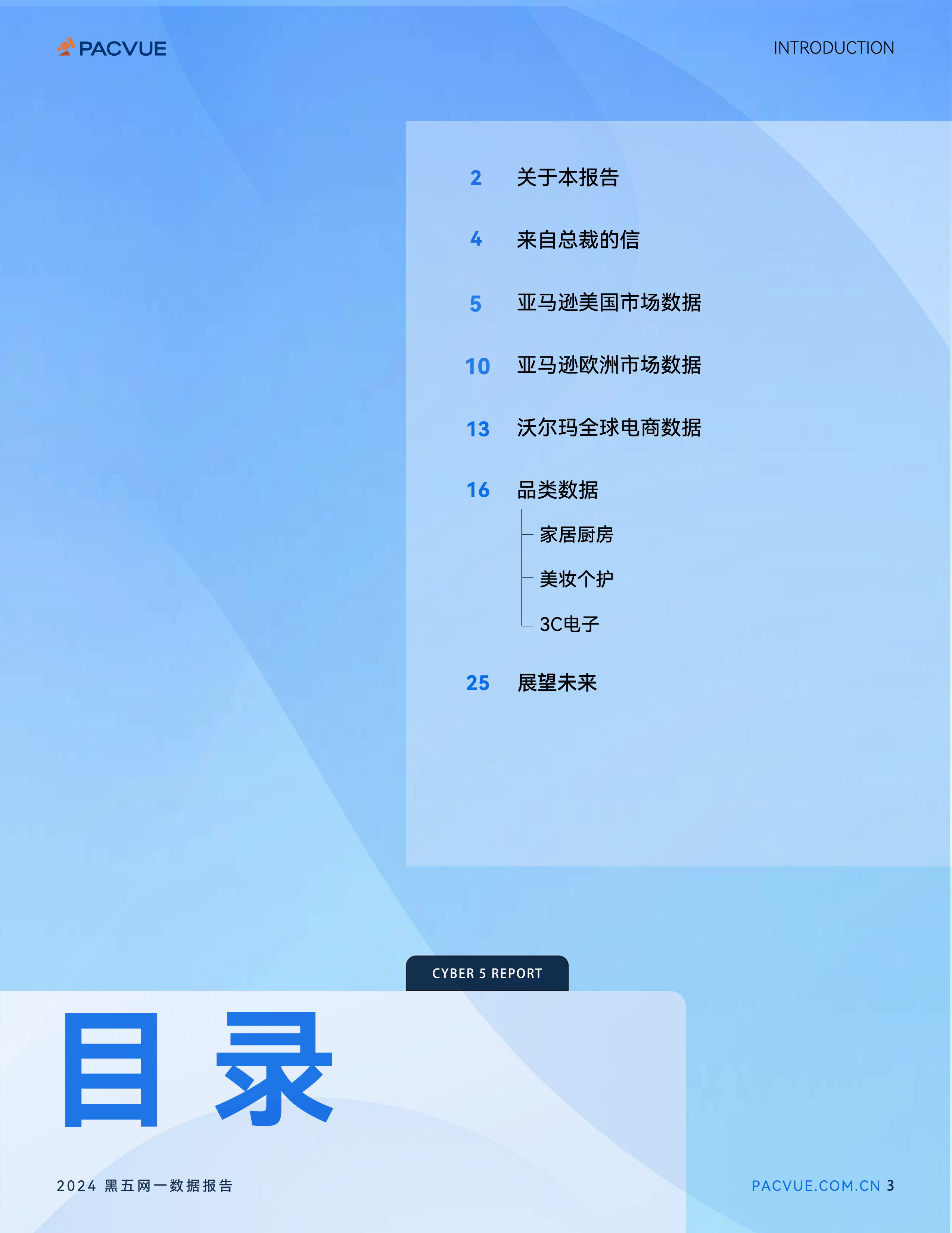Pacvue泊客电商2024黑五网一数据报告26页