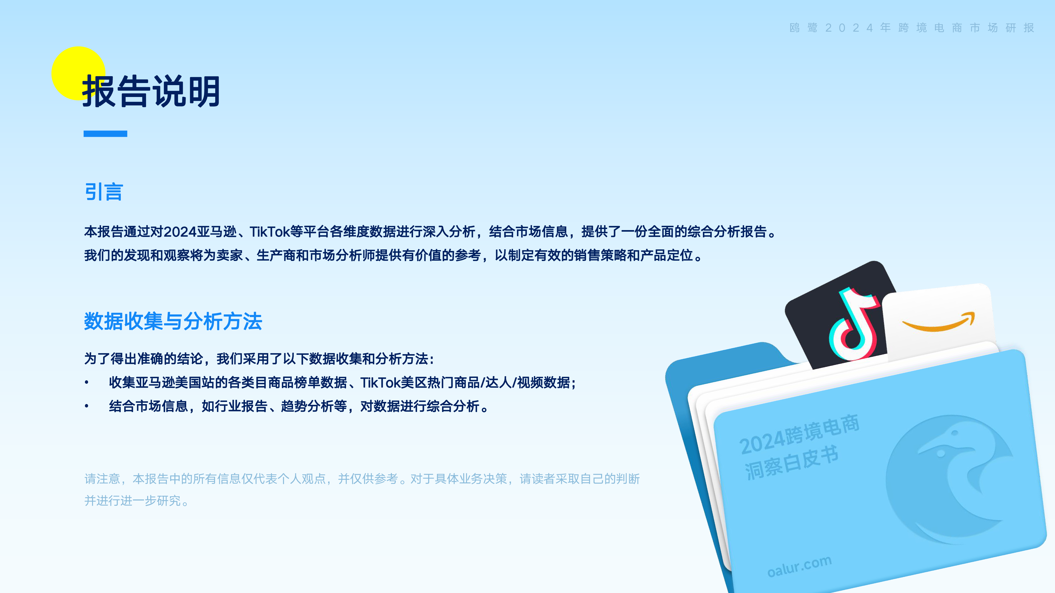 鸥鹭2024跨境电商洞察白皮书-全球市场动态与爆品解码63页