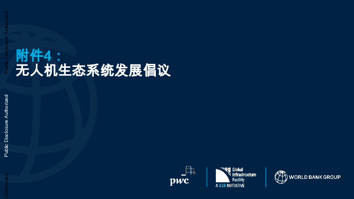 2025年无人机生态系统发展计划报告(英文版)-世界银行