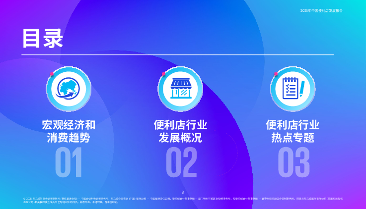 2025年中国便利店发展报告