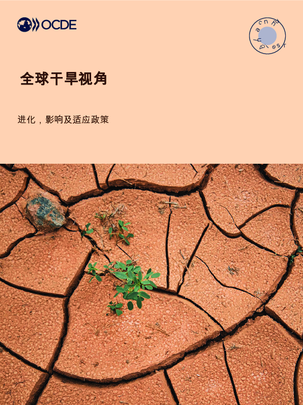 世界企业家视角：进化、影响和适应政策