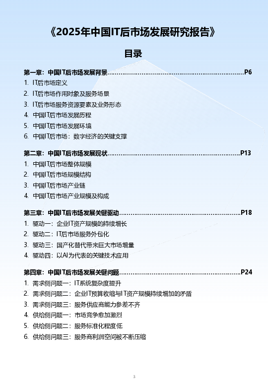 2025年中国IT后市场发展研究报告