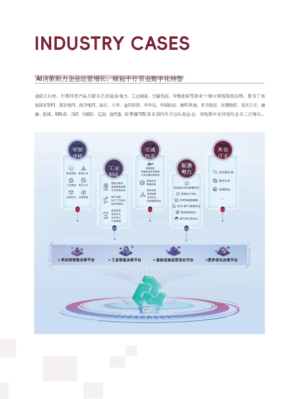 AI决策典型案例集