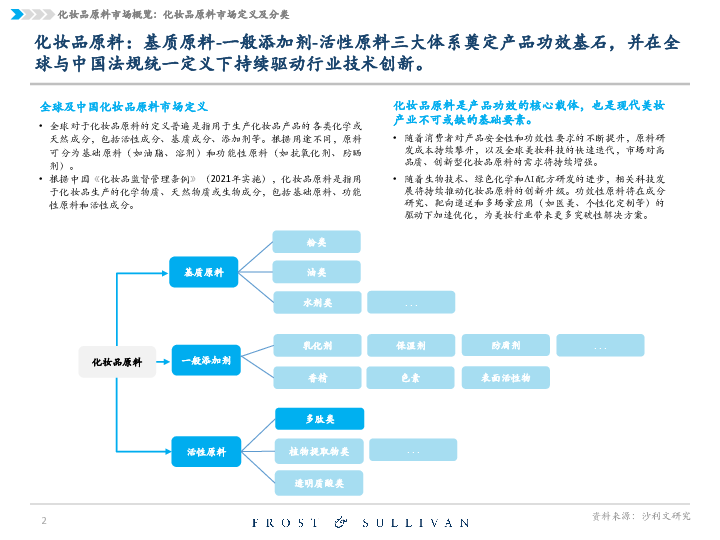 2025 年中国化妆品原料市场报告