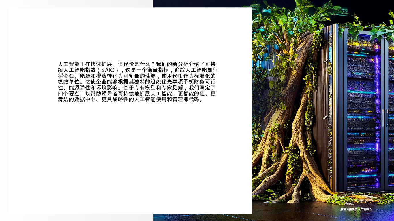 为可持续的人工智能提供动力