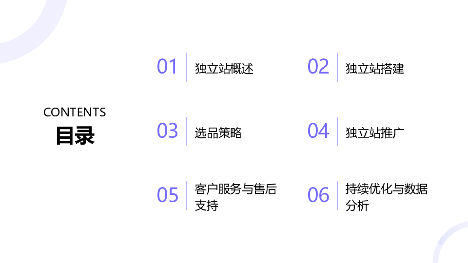 跨境快消独立站运营指南
