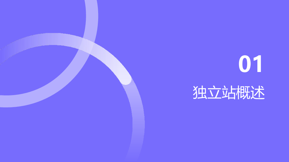 跨境快消独立站运营指南