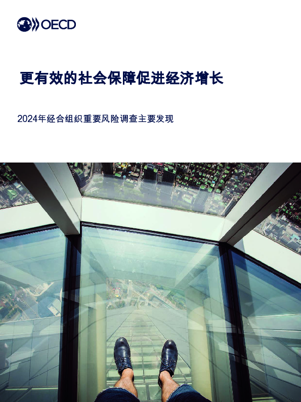 更有效的社会保护促进更强劲的经济增长:2024年经合组织重要风险调查的主要发现