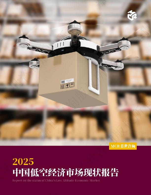 2025中国低空经济市场现状报告