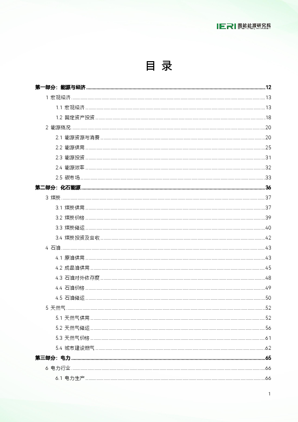 中国能源数据报告(2025)