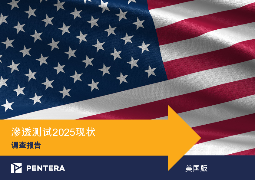 2025年渗透测试现状调查报告(美国版)