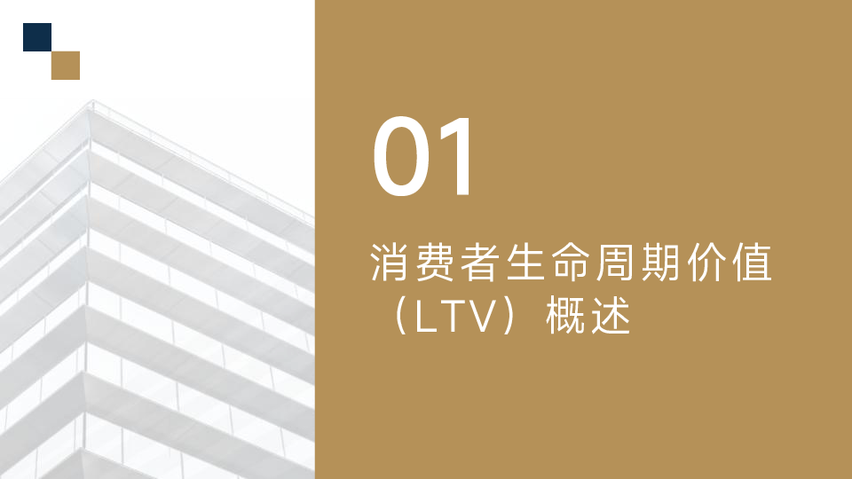 消费者生命周期价值(LTV)在快消品牌会员体系中的应用策略