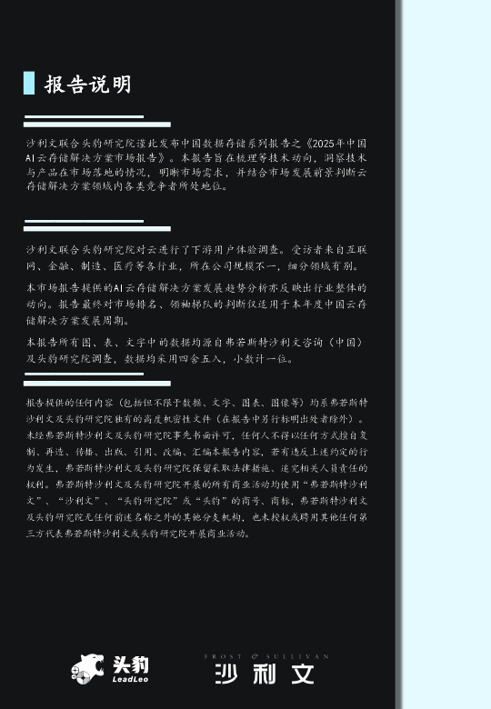 2025年中国AI云存储解决方案市场报告