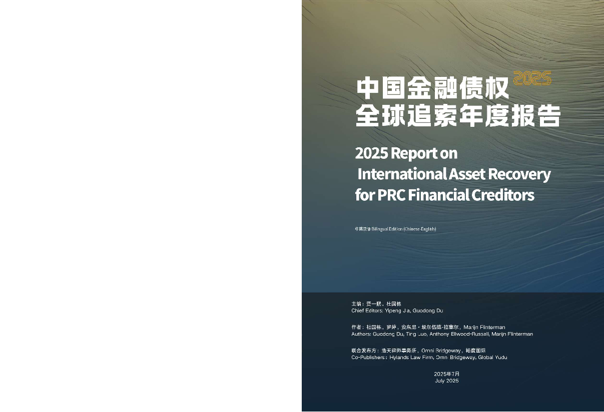 2025中国金融债权全球追索年度报告