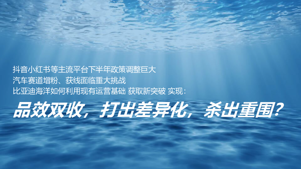 2024-2025比亚迪海洋系列新媒体官方账号年度直播运营方案