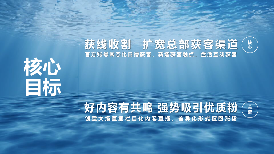 2024-2025比亚迪海洋系列新媒体官方账号年度直播运营方案